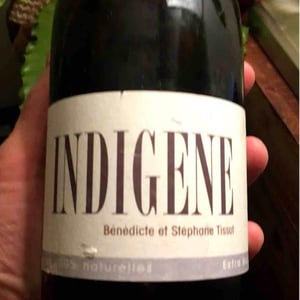 Domaine André & Mireille Tissot - Bénédicte & Stéphane Tissot - Indigene