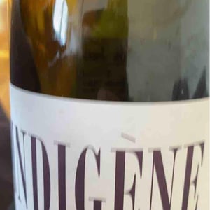 Domaine André & Mireille Tissot - Bénédicte & Stéphane Tissot - Indigene
