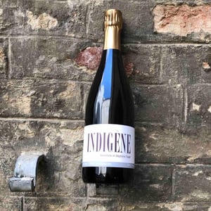 Indigene - Domaine André & Mireille Tissot - benedicte-stephane-tissot