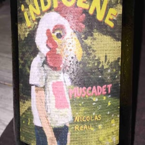 Le Clos des Treilles - Nicolas Reau - Indigène Muscadet