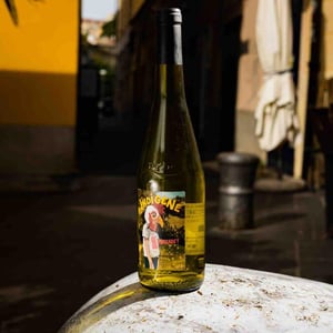 Indigène Muscadet - Le Clos des Treilles - nicolas-reau