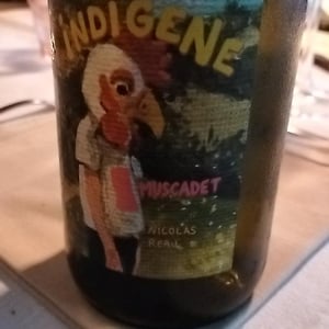 Indigène Muscadet - Le Clos des Treilles - Nicolas Reau 