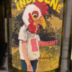 Indigène Muscadet - Le Clos des Treilles - nicolas-reau
