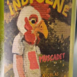 Indigène Muscadet - Le Clos des Treilles - Nicolas Reau 