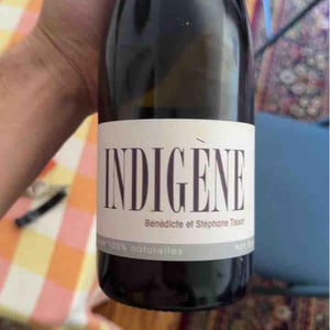 Indigene - Domaine André & Mireille Tissot - Bénédicte & Stéphane Tissot 