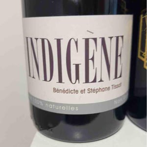 Indigene - Domaine André & Mireille Tissot - benedicte-stephane-tissot
