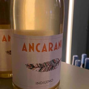 Indigeno - Ancarani - rita-babini-claudio-ancarani