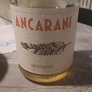 Ancarani - Rita Babini & Claudio Ancarani - Indigeno