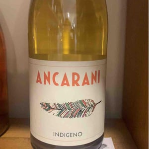 Indigeno - Ancarani - rita-babini-claudio-ancarani