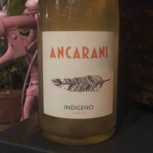 Indigeno - Ancarani - rita-babini-claudio-ancarani