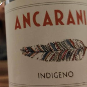 Ancarani - Rita Babini & Claudio Ancarani - Indigeno