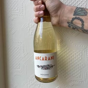Indigeno - Ancarani - rita-babini-claudio-ancarani
