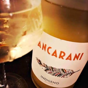 Ancarani - Rita Babini & Claudio Ancarani - Indigeno