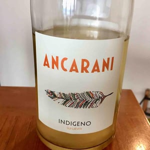 Ancarani - Rita Babini & Claudio Ancarani - Indigeno