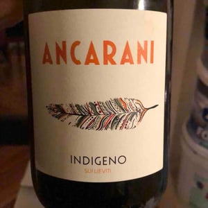 Ancarani - Rita Babini & Claudio Ancarani - Indigeno