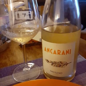 Ancarani - Rita Babini & Claudio Ancarani - Indigeno