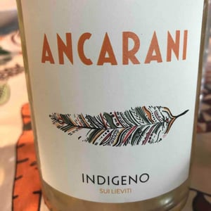 Indigeno - Ancarani - rita-babini-claudio-ancarani