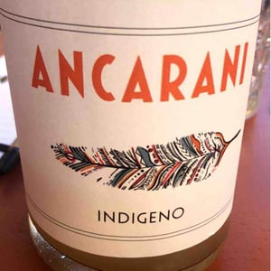 Ancarani - Rita Babini & Claudio Ancarani - Indigeno