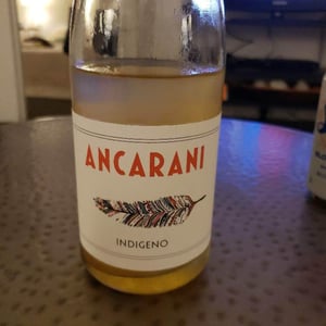 Ancarani - Rita Babini & Claudio Ancarani - Indigeno