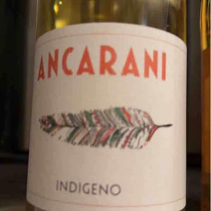 Indigeno - Ancarani - rita-babini-claudio-ancarani
