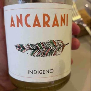 Ancarani - Rita Babini & Claudio Ancarani - Indigeno