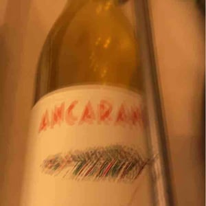 Indigeno - Ancarani - rita-babini-claudio-ancarani