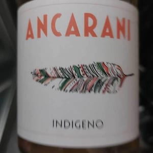 Indigeno - Ancarani - rita-babini-claudio-ancarani
