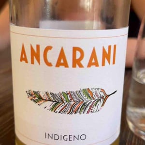 Ancarani - Rita Babini & Claudio Ancarani - Indigeno