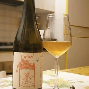 Bianco Macerato - Cantina Indigeno (TEMPORARILY CLOSED) - Alfredo Giugno, Loreto Lamolinara, Nicola Reginaldi 