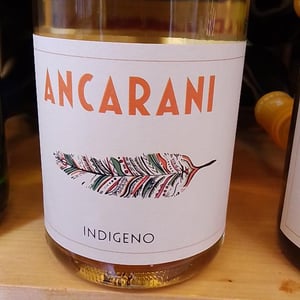 Indigeno - Ancarani - rita-babini-claudio-ancarani