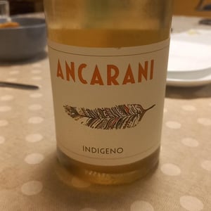 Indigeno - Ancarani - Rita Babini & Claudio Ancarani 