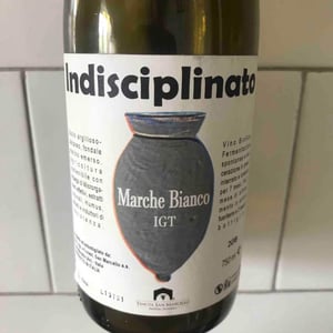 Indisciplinato - Tenuta San Marcello - Massimo Palmieri & Pascale Marquet 