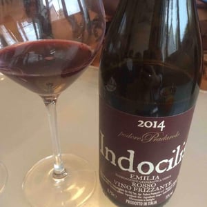 Indocilis - Podere Pradarolo - alberto-carretti