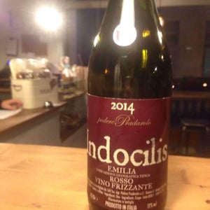 Indocilis - Podere Pradarolo - Alberto Carretti 