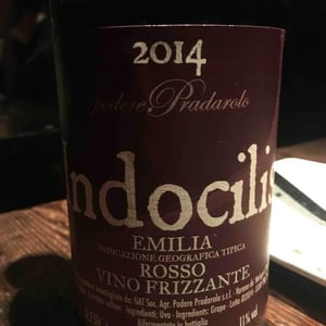 Indocilis - Podere Pradarolo - Alberto Carretti 