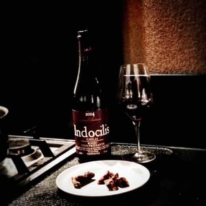 Indocilis - Podere Pradarolo - alberto-carretti