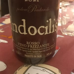 Indocilis - Podere Pradarolo - Alberto Carretti 