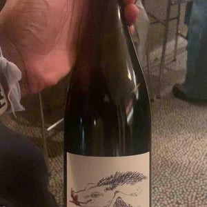 Indomptable - Domaine des 2 Fauves - laura-soldan-charles-henri-quantin