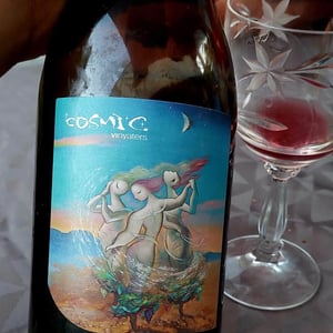 Encarinyades - Còsmic Vinyaters - salvador-batlle-barrabeig