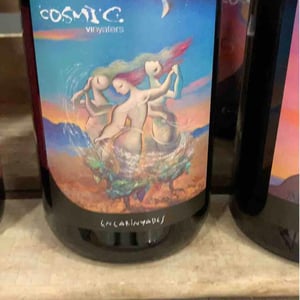 Encarinyades - Còsmic Vinyaters - salvador-batlle-barrabeig