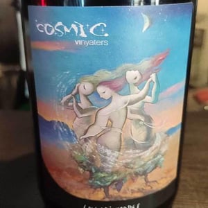 Encarinyades - Còsmic Vinyaters - salvador-batlle-barrabeig