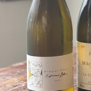 Infiniment Blanc - Allois - francois-busi -2023