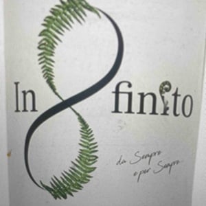 Infinito bianco - Le Felce - Andrea Marcesini -2022