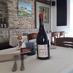 Infusions - Terra Vita Vinum - Bénédicte & Luc Briand -2021