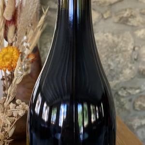 Infusions - Terra Vita Vinum - benedicte-luc-briand -2021