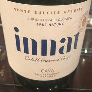 Innat - Eduald Massana Noya - eduald-massana-noya