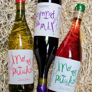 No Es Pituko - Viña Echeverría - Quasar Wines - roberto-viviana-paulina-diego-echeverria