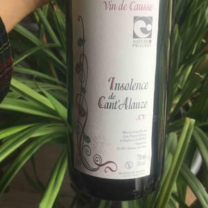 Insolence - Domaine de Cantalauze - Pierre-Olivier & Pauline Laurent -2020