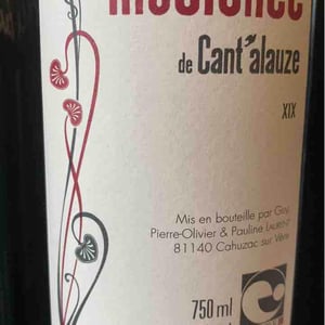 Insolence - Domaine de Cantalauze - Pierre-Olivier & Pauline Laurent -2020