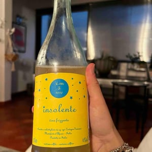 Vino Frizzante - Insolente Vini - Luca Elettri -2020